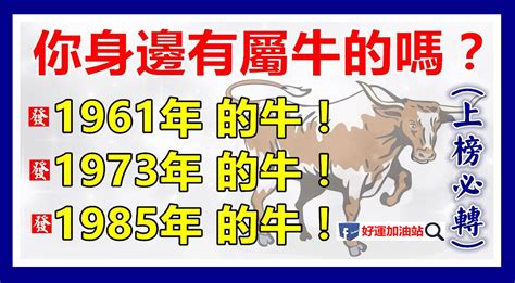 1973年屬牛|【1973牛】揭開1973年牛寶寶的五行之謎！屬牛人生運勢大公開